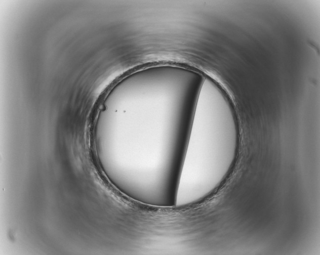 X0000100220983200805300744