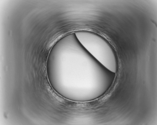 X0000100220985200805300744
