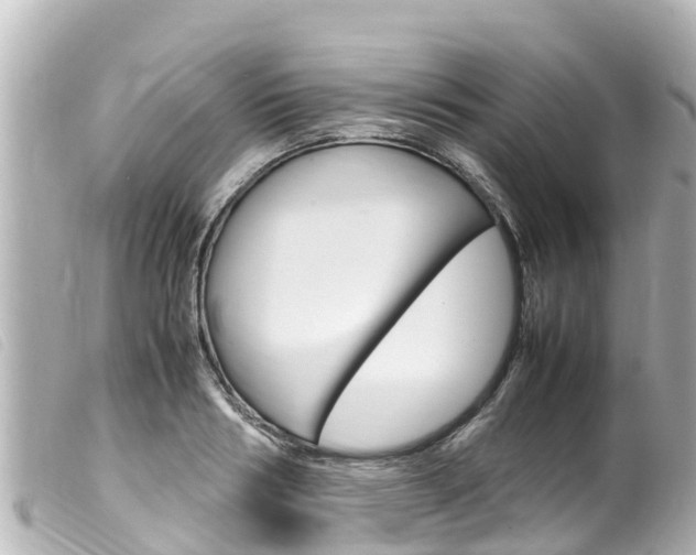 X0000100220986200805300744