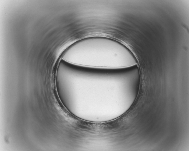 X0000100220987200805300744