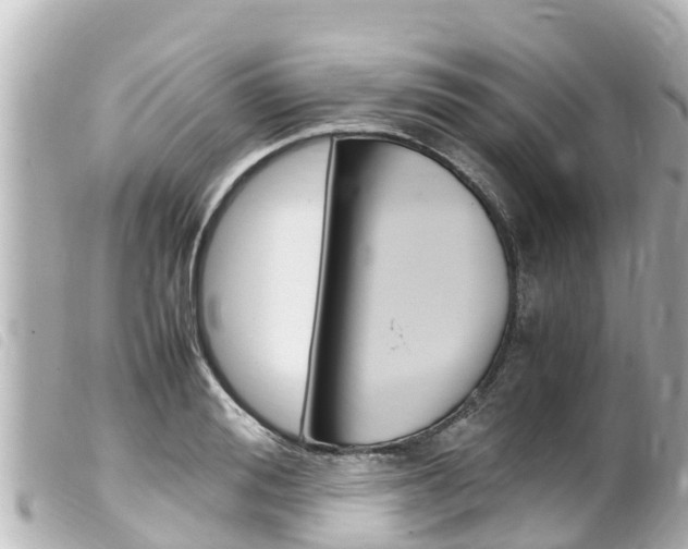 X0000100220988200805300744