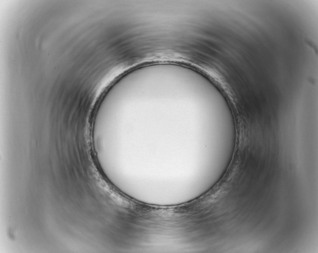 X0000100220990200805300744