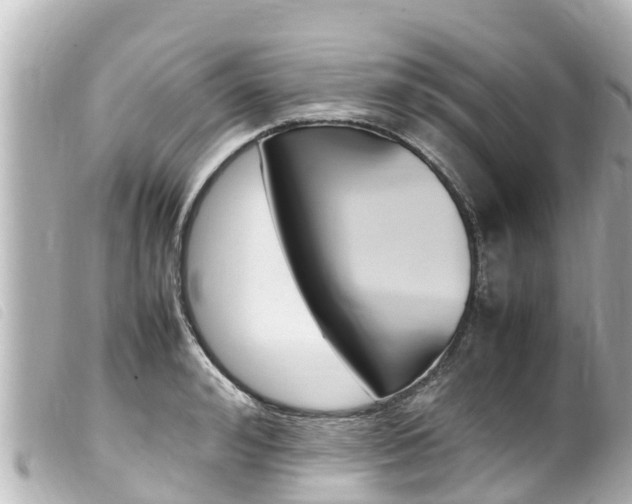 X0000100220992200805300744