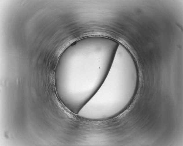 X0000100220993200805300744