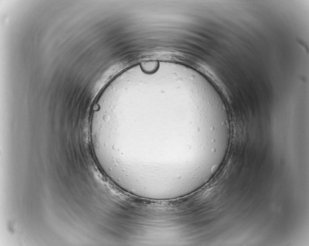 X0000100220994200805300744