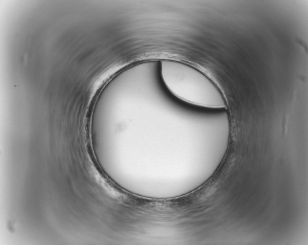 X0000100220995200805300744