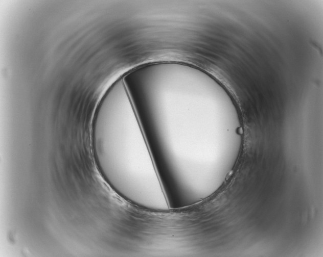 X0000100220996200805300744