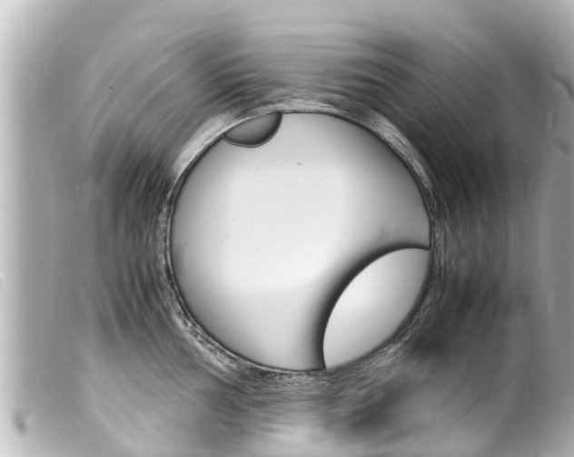 X0000100221002200805300743