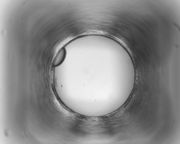 X0000100221003200805300743