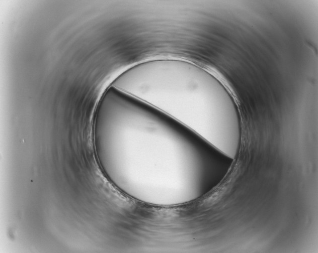 X0000100221004200805300743