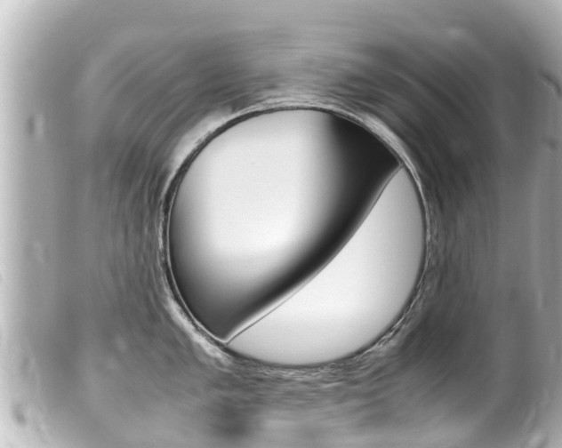 X0000100221005200805300743