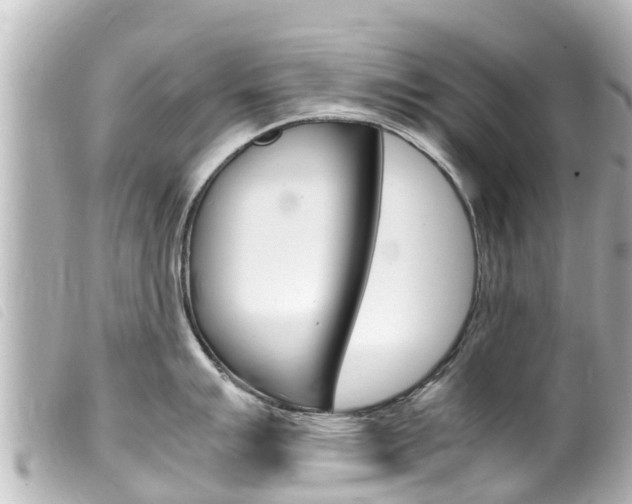 X0000100221007200805300743