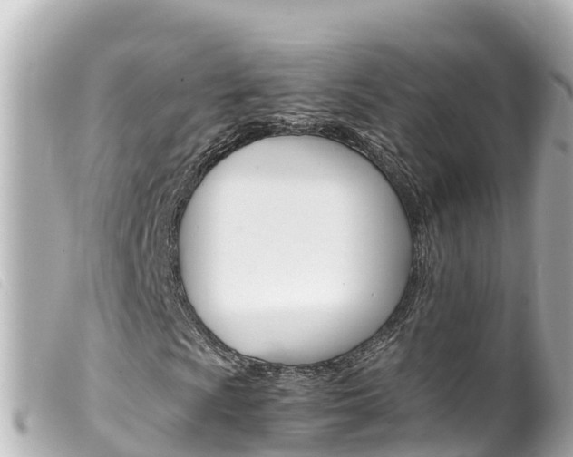 X0000100221009200805300743