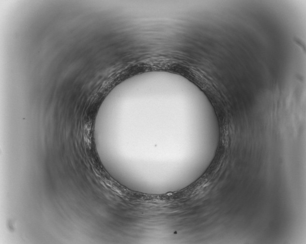 X0000100221010200805300743