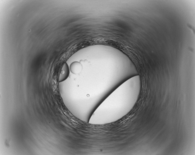 X0000100221011200805300743