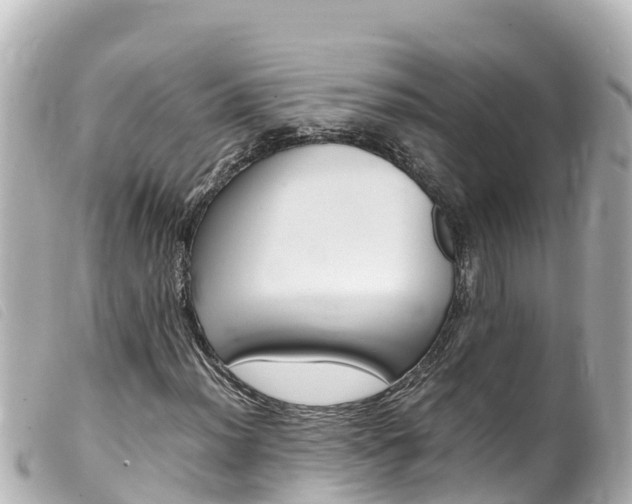 X0000100221012200805300743
