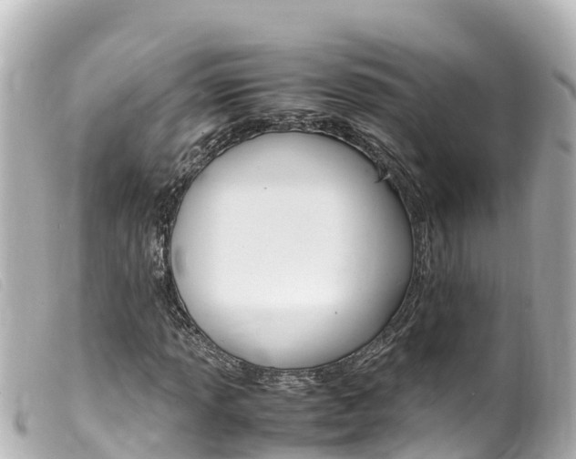 X0000100221013200805300743