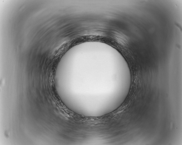 X0000100221014200805300743
