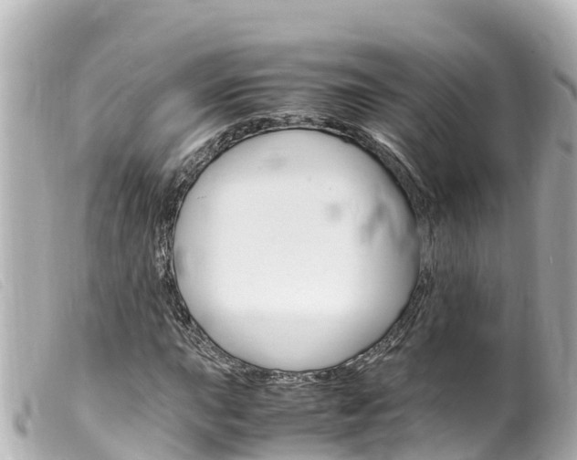 X0000100221015200805300743