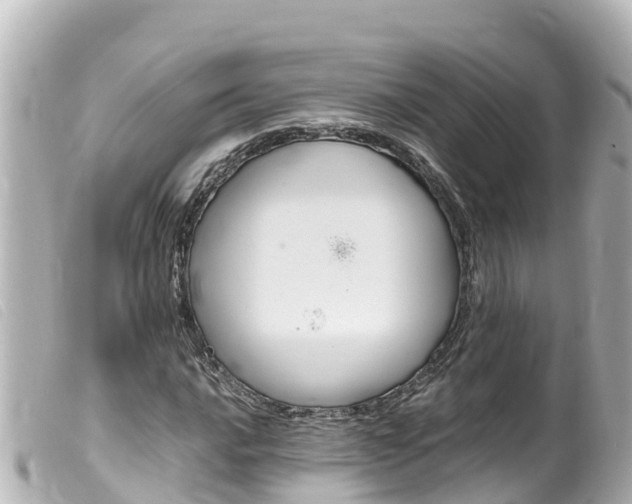 X0000100221016200805300743