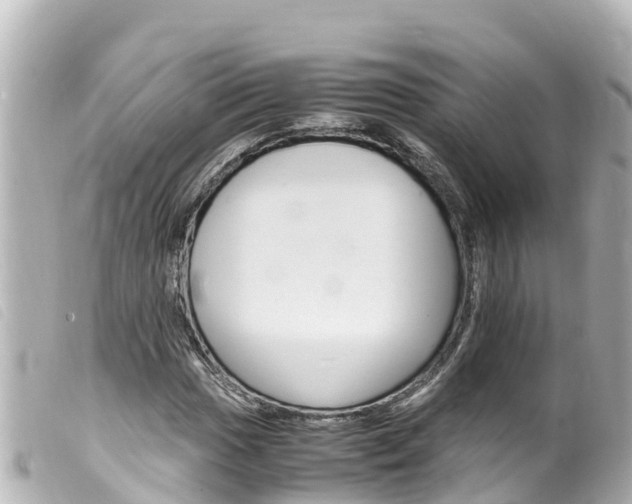 X0000100221017200805300743