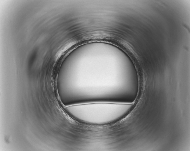 X0000100221018200805300743