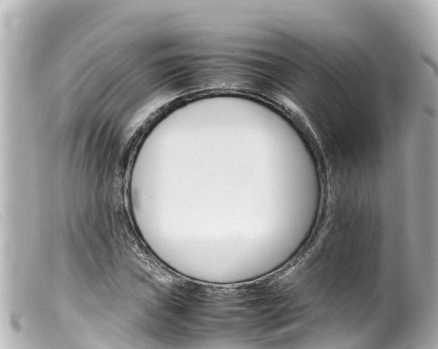X0000100221019200805300743