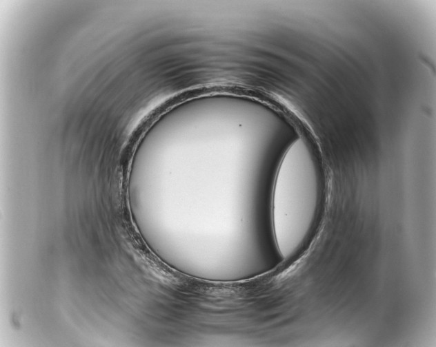 X0000100221021200805300743