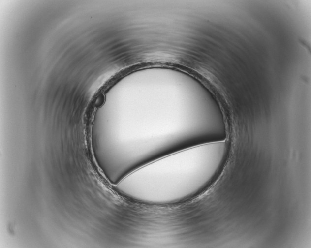 X0000100221022200805300743