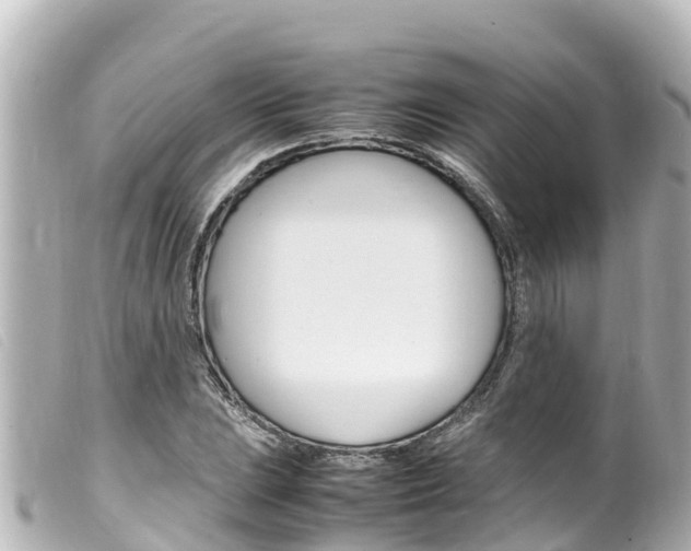 X0000100221023200805300743