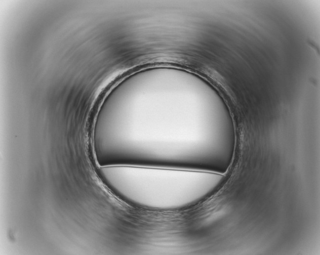 X0000100221024200805300743