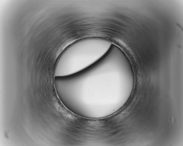 X0000100221025200805300743