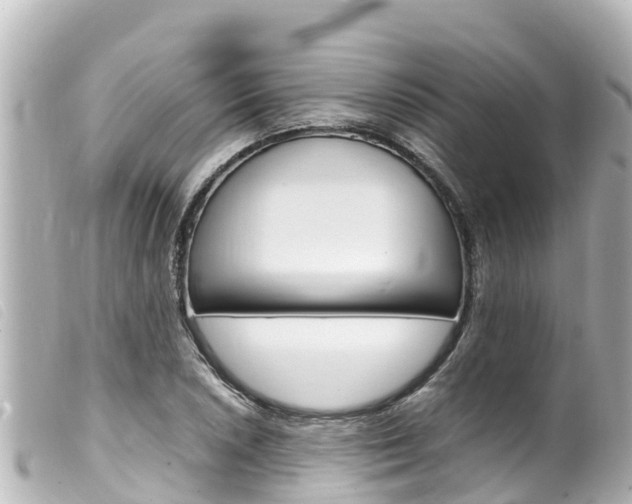 X0000100221026200805300743
