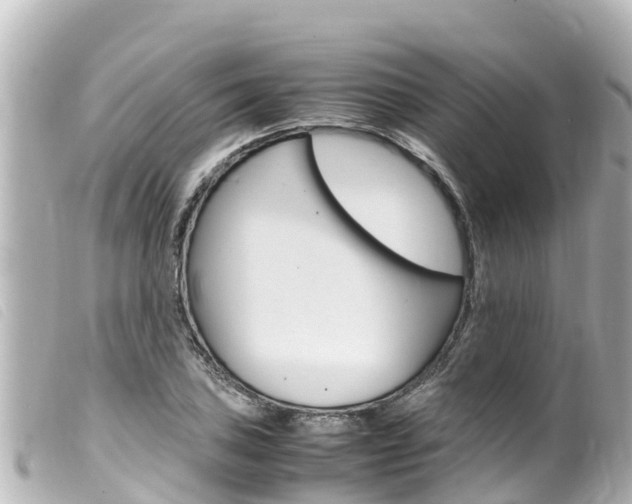 X0000100221027200805300743