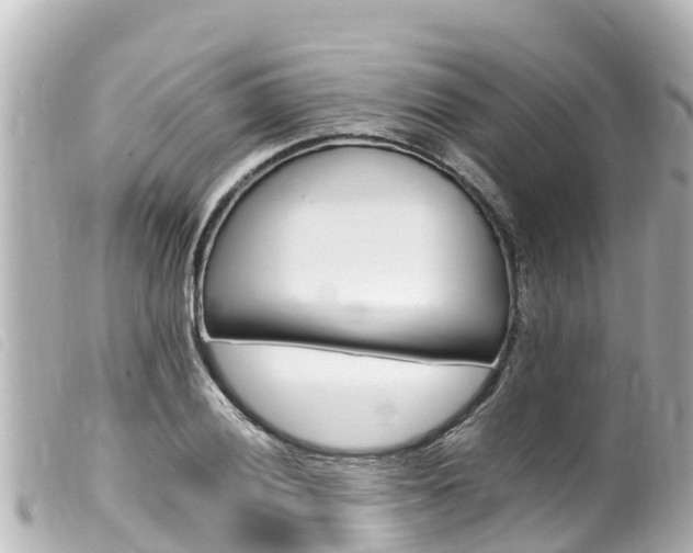 X0000100221028200805300743