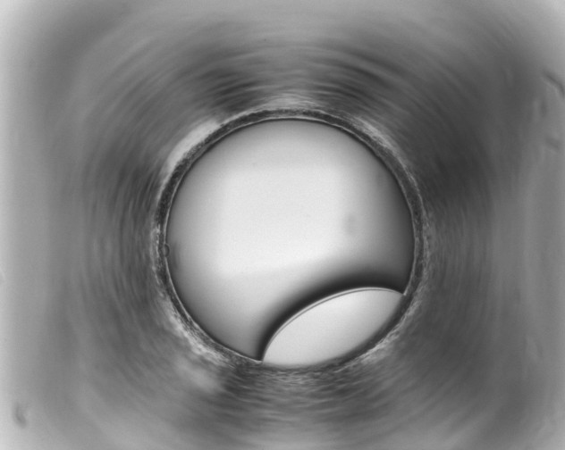 X0000100221029200805300743