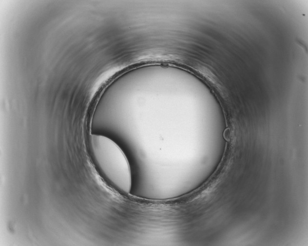 X0000100221030200805300743