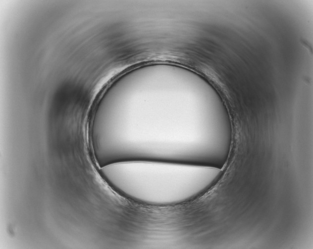 X0000100221032200805300743