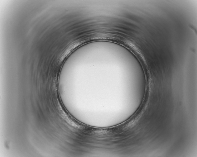X0000100221033200805300743