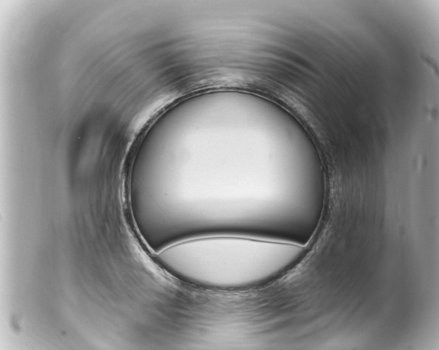 X0000100221034200805300743