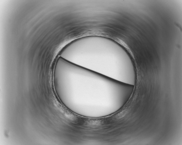 X0000100221035200805300743