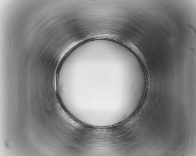 X0000100221036200805300743
