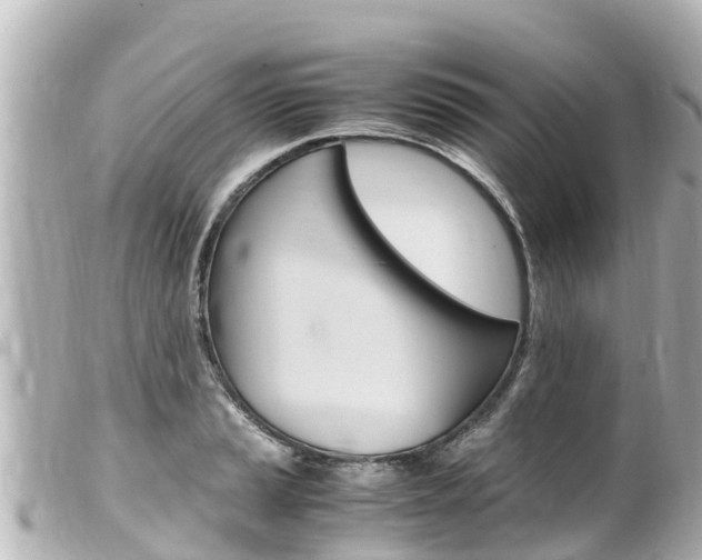 X0000100221037200805300743