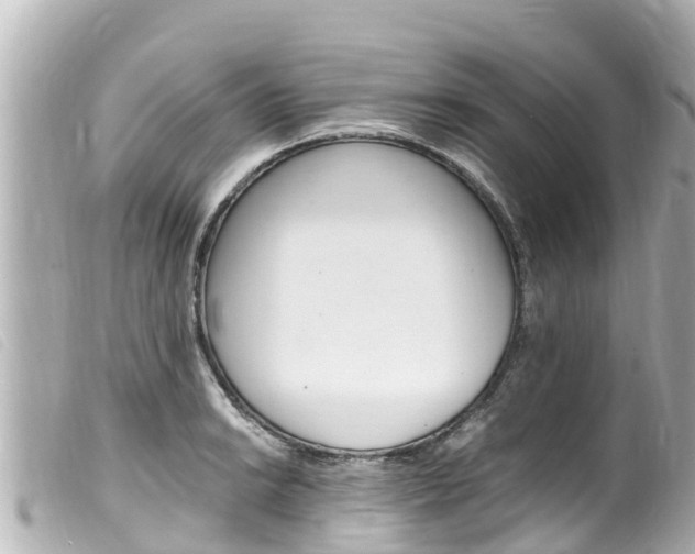 X0000100221038200805300743