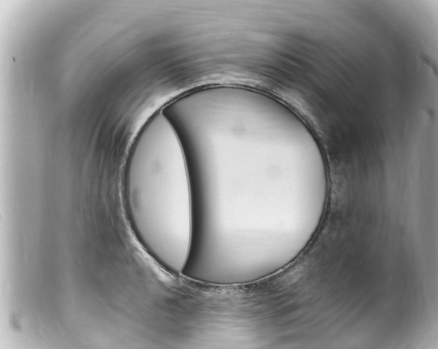 X0000100221040200805300743