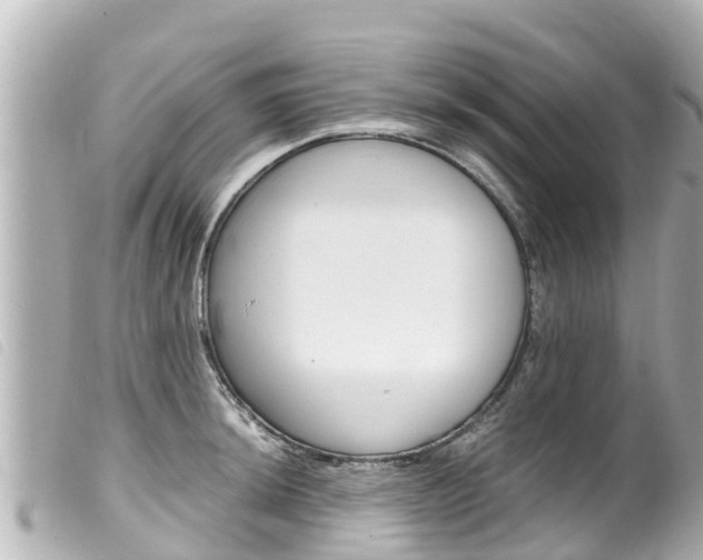 X0000100221044200805300743