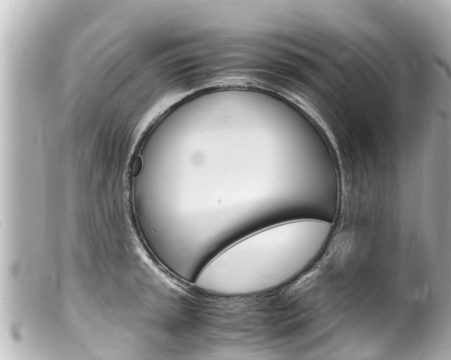 X0000100221045200805300743