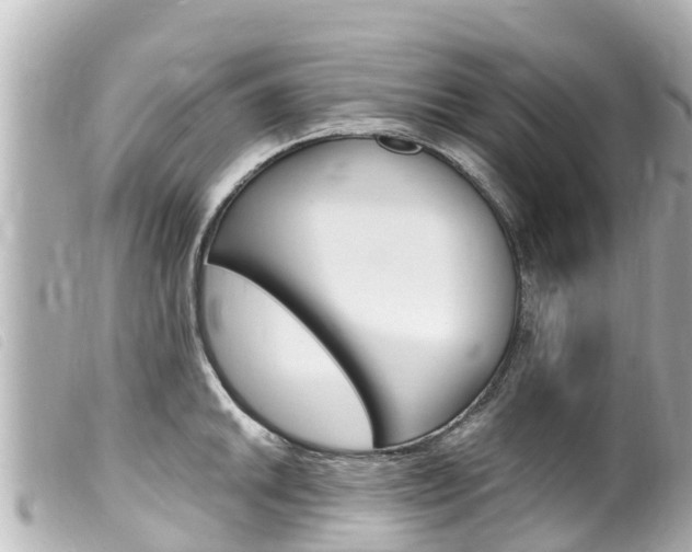 X0000100221046200805300743