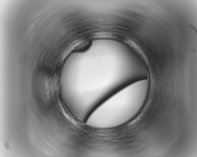 X0000100221049200805300743