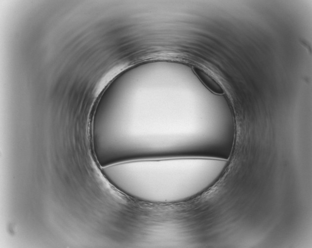 X0000100221050200805300743